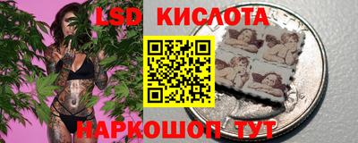 сатива Новодвинск