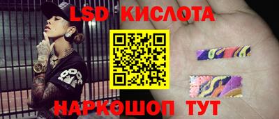 дмт Новокубанск