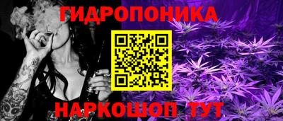 сатива Новодвинск