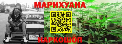 дмт Новокубанск