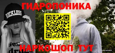 сатива Новодвинск