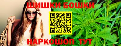 сатива Новодвинск