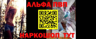 сатива Новодвинск
