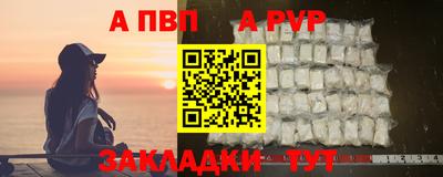 сатива Новодвинск