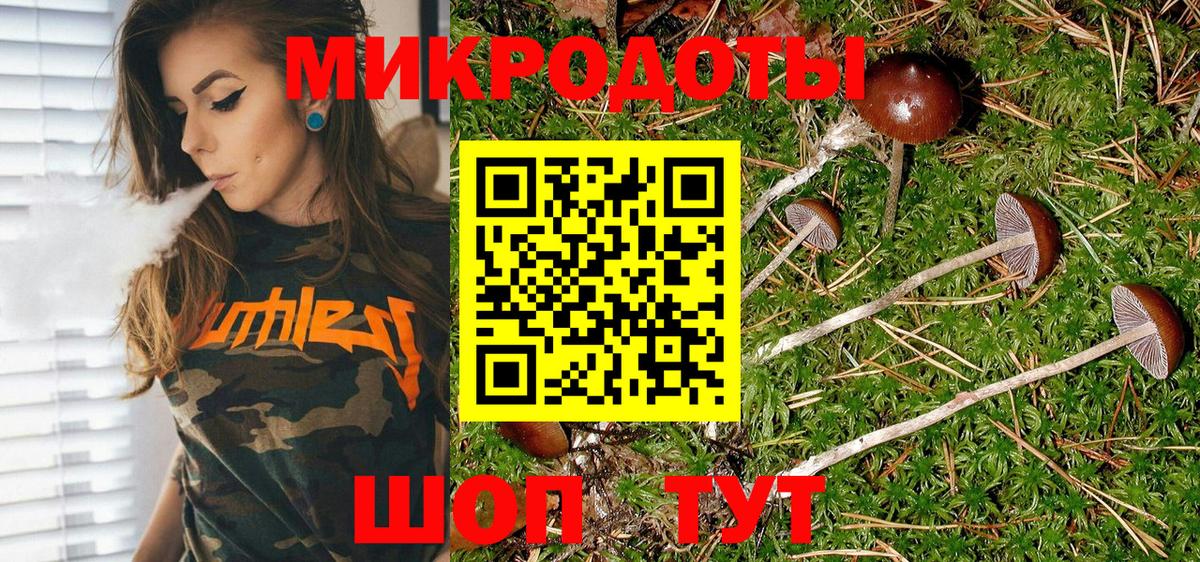 Саянск  Галлюциногенные грибы ЛСД  Вход с VPN 